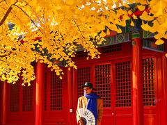 -承恩寺