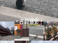 -高旻寺