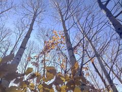 -白草畔自然风景区