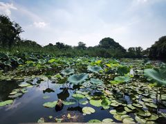 -解家河南菜(金水路店)