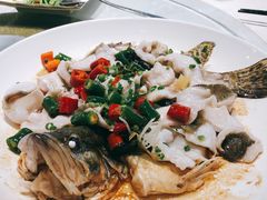 -陶缘一号·四季缘·老字号顺德菜·户外婚礼家宴(西滘店)