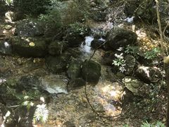-牛鱼嘴原始生态风景区