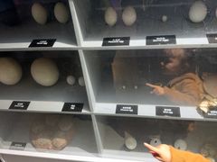 -泉城欧乐堡海洋极地世界