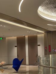 -深圳米兰柏羽医疗美容医院