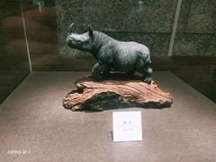 -大连自然博物馆