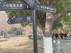 -武汉知音号