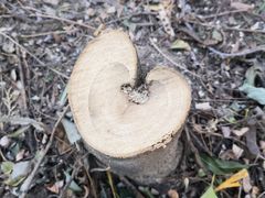 -鹫峰国家森林公园