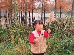 -白鹭湾湿地公园