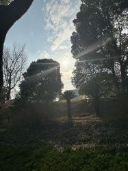 -华东饭店·园林式婚礼宴会厅酒店