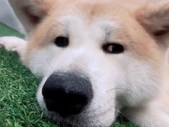 -YCHL Studios健身工作室(市二宫店)