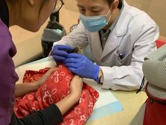 -艾贝尔宠物诊疗