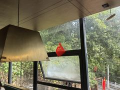 -树厨贵州菜(铜仁花果山店)