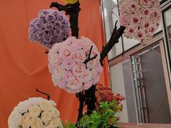 -上海鲜花港