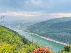 -铁山坪森林公园