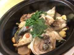 煎焗仓鱼-台山美食一绝阿四台山黄鳝饭(阿四创作店)