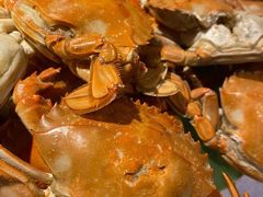 -美食汇自助西餐厅(荆州富力万达嘉华酒店)