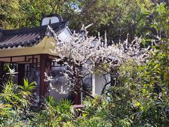 -深圳国际园林花卉博览园