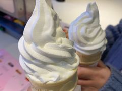 -麦当劳(新世纪环球中心店)