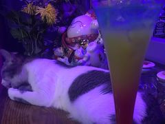 -星宿秘码(鼓浪屿老店)