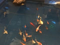 -北京邮电会议中心