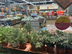 -果蔬好生活超市(双井店)