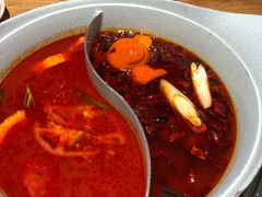 -青瓷火锅料理(西单大悦城店)