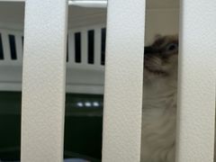 -美联众合动物医院·24h京西诊疗中心