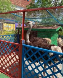 -萌宠亲子动物乐园(槐房万达店)