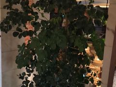 -浅深Cheersum(曹杨店)