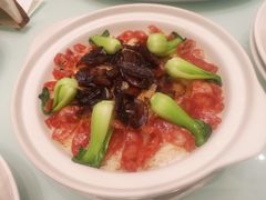 -新吉士·上海菜(浦东LCM置汇旭辉店)