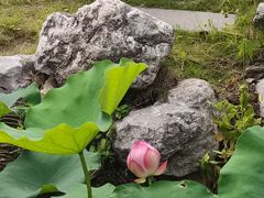 -厦门园林博览苑