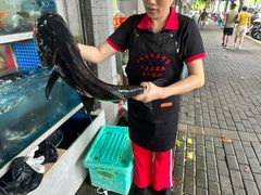 -全乐鱼馆·淳牌有机鱼直营店