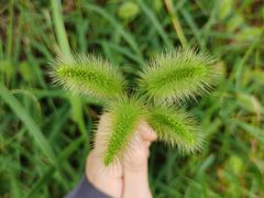 -攀枝花公园