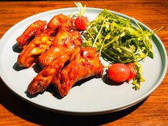 -百好乐宠物友好餐厅(朝外大街店)