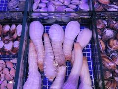 -青蓬蒸汽海鲜·深圳老字号·团建聚会(壹方城店)
