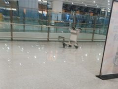 -麦当劳(北京大兴机场二层国内到达(安检外)店)