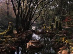 -上海共青森林公园