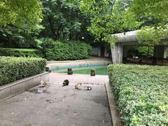 -苏州河梦清园环保主题公园