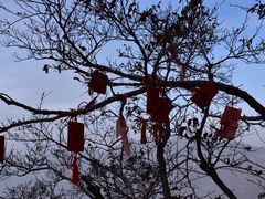 -嵩山少林文化旅游景区