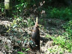 -众神白水涧景区