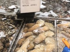 -盒马X会员店(王府井奥莱UP TOWN店)
