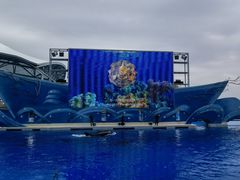 -上海海昌海洋公园