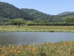 -径山花海