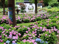 -上海共青森林公园