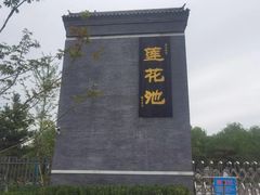 -莲花池公园