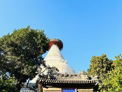 -妙应寺白塔
