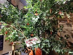 -田园印象·成都土菜院子(华阳店)