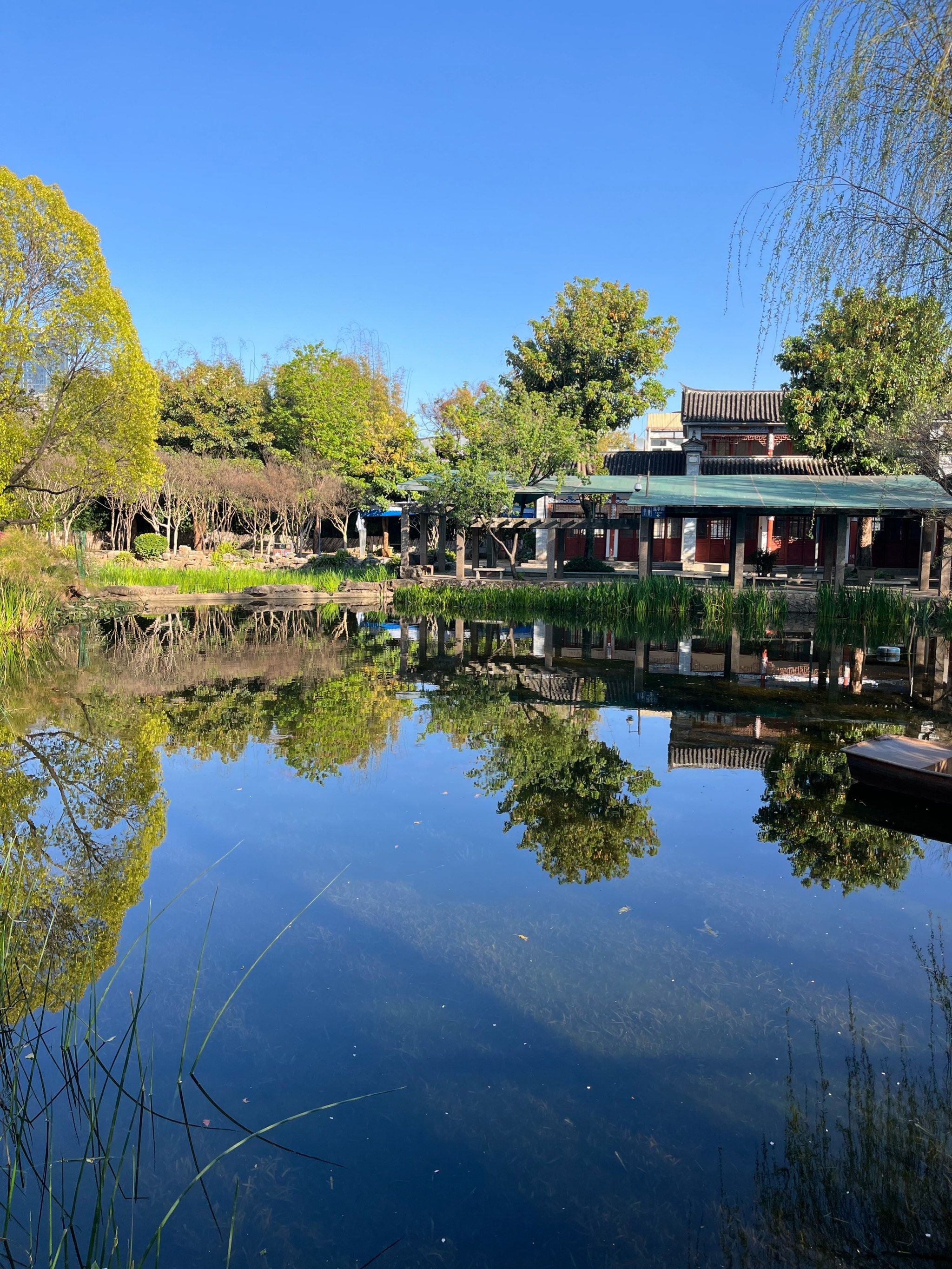 上个月的西华园#live图里的生活瞬间#春日看好景