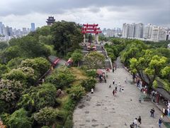 -黄鹤楼公园(黄鹤楼)