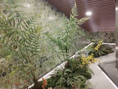 -鑫水汇汤浴
